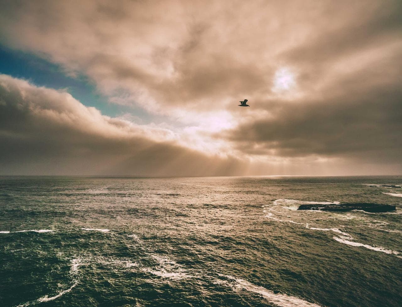 세계청년대회 D-200 기념 미사 안내